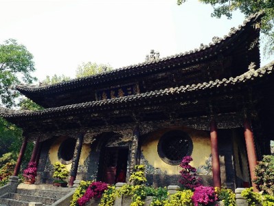 白条套现时间存风险？出财小神警示：合规用卡才是安心之道