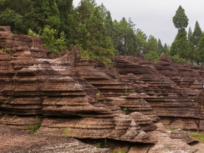 仙桃抖音月付套现风险须知！出财小神教你合规用信更安心