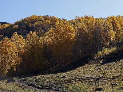京东白条提现微信合规指南：步骤拆解+“出财小神”辅助避坑