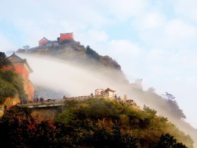 白条套现方法解析与风险提示：安出掌柜提醒合规更重要