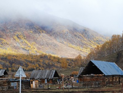 京东白条取现被取消引困扰？“出财小神”成用户应急新选择