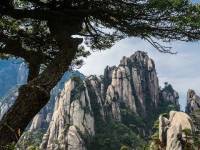 白条额度灵活使用指南：出财小神教你合规避风险