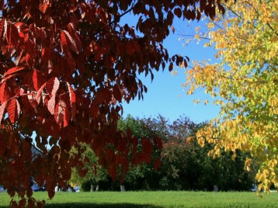 南昌抖音月付套现风险大？安出掌柜教你合规用钱新方式