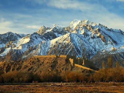 白条取现每笔都上征信？资金方差异+用卡提醒一次说清