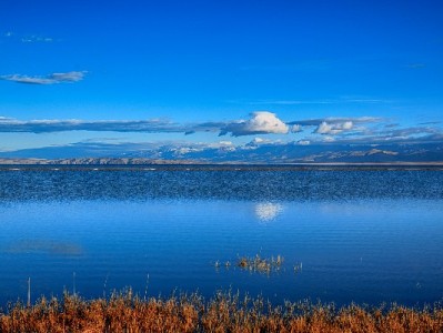 花呗“小商家消费”新体验：从煎饼铺到“安出掌柜”的支付烟火气