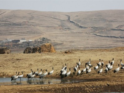京东白条套现常见手法大起底：这些风险你承担得起吗？