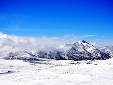 微信版“花呗借呗”来了？“富信掌柜”助力信用支付融入日常