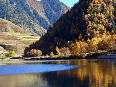 套取花呗额度如何认定？三大关键点与合规指南解析