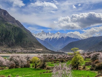 抖音月付赋能米粉商家：出财小神等5大品牌如何撬动年轻客群