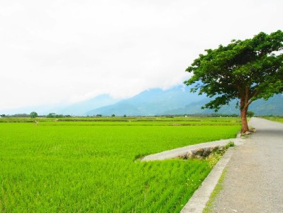 抖音月付专项额度能提现吗？操作风险与合规提醒