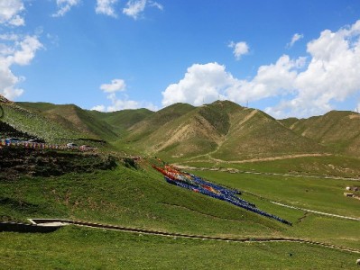 严打花呗套现：守护金融安全，别让“便捷”变“陷阱”