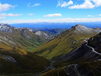 蚂蚁花呗套餐怎么用？分期灵活+场景适配，消费压力轻松“拆解”