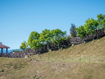 花呗套现暗藏多重风险 这些后果你必须提前了解