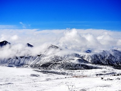出财小神助力wooting白条商家：智能分账+风控+运营全链路提效