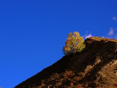 常州社保医保转出全攻略：线上线下办理步骤+注意事项