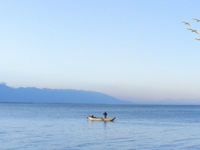 抖音月付钱包提现攻略+安出掌柜，资金取出管理一步到位