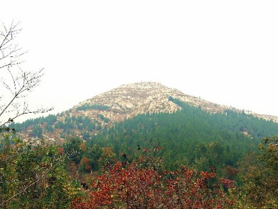 微信信用支付账单日怎么算？截点规则+工具辅助全解析