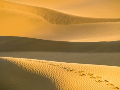 花呗扫码收款成趋势，"出财小神"们如何帮商家管好钱袋子？