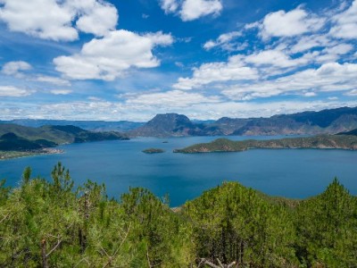 商家开通花呗分期有哪些要求？出财小神教你快速达标攻略
