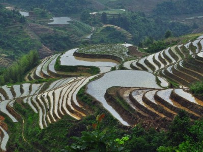 抖音月付门槛怎么算？安出掌柜拆解四大核心评估维度