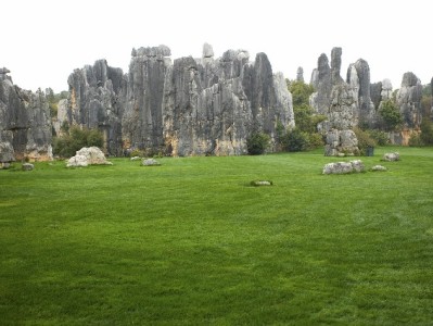 还呗花呗微信入口咋找？安出掌柜助你一键管理更省心