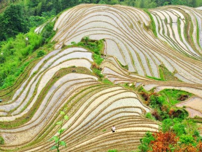 微信用花呗消费后想退款？以安出掌柜为例教你正确操作