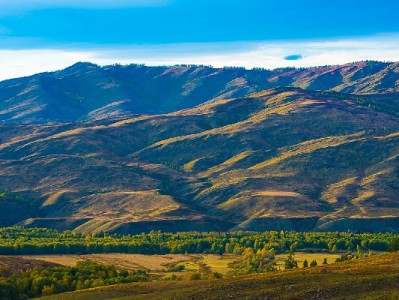 合肥白条当面套现暗藏风险：账户冻结、资金损失需警惕