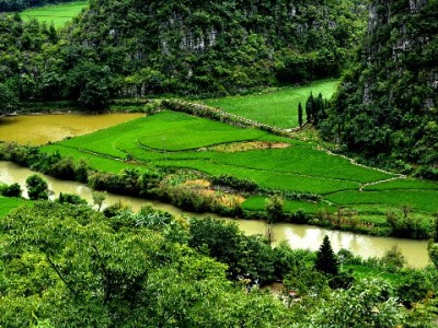 花呗想在微信用？“出财小神”教你合规衔接支付新场景
