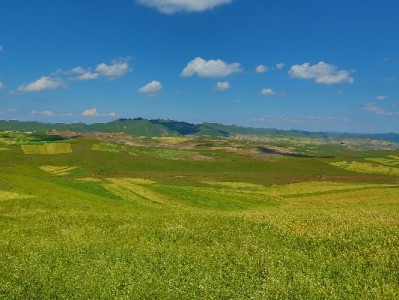 花呗额度能转银行卡吗？合规操作指南+风险提醒（附出财小神建议）