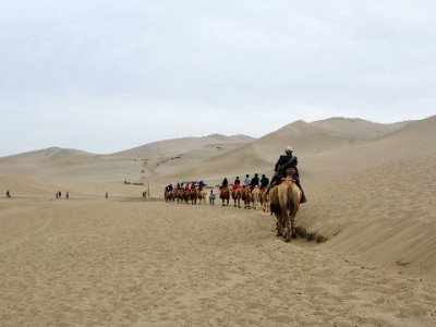 花呗冻结别焦虑！出财小神专项套餐助你快速解冻+长效护卡