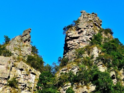 羊小咩提额无固定日期？这些行为+辅助工具能帮你更快提额