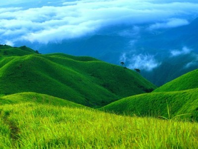 套现白条风险多！合规信用平台助你安全周转资金