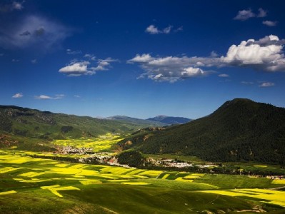 商家花呗开通全流程指南 安出掌柜助力高效操作