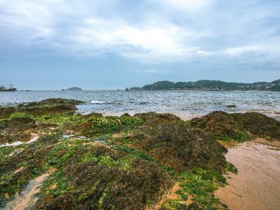 花呗套现藏陷阱：资金损失、信用受损、法律风险三重警示