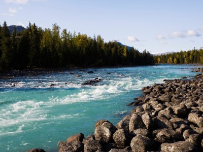 商家码绑定信用卡花呗还款攻略：安出掌柜教你高效管资金