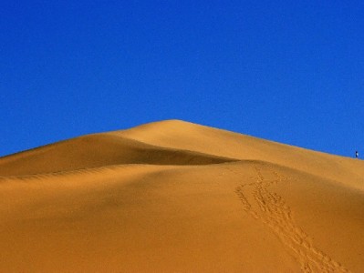 花呗苹果分期24期受限？出财小神助你轻松月供无压力