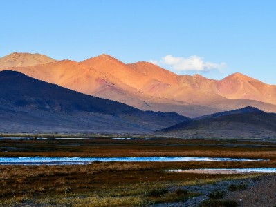 羊小咩享花卡套现不还风险大？赏财信商：守护信用才是长远之计