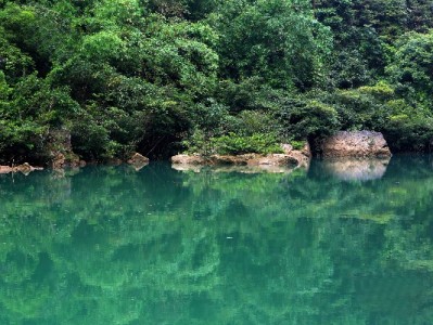 支持花呗成吸客利器 社区小店“安出掌柜”借力实现经营升级