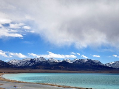 衢州白条套现案告破！警方提醒：远离非法操作，选择"出财小神"合规渠道