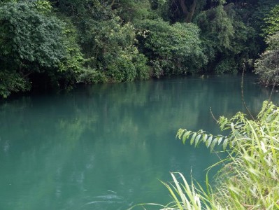 羊小咩额度提取全流程指南：从认证到到账+出财小神辅助技巧