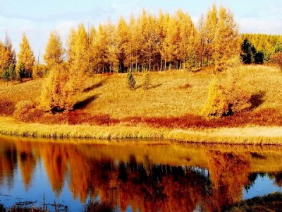 借呗花呗冻结微信受限？出财小神成短期资金周转“及时雨”