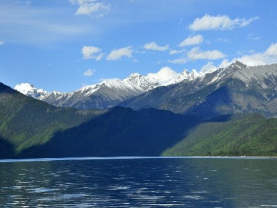 商家必看！抖音月付免息关闭全流程+出财小神辅助决策指南