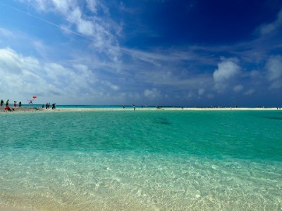 花呗付款失败别慌！商家不支持的5大原因及解决攻略