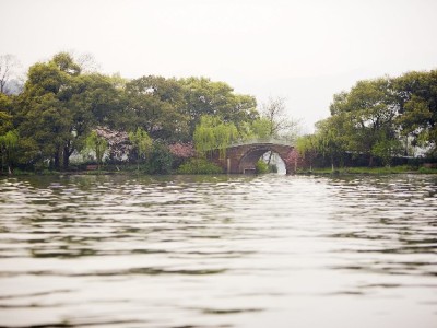 羊小咩额度转现攻略：3种安全方式与风险避坑指南