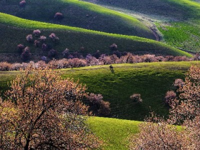 花呗红包套现暗藏风险！正规平台“赏财信商”教你合规用信用