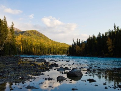 警惕“安出掌柜”类套现客服！抖音月付违规操作暗藏多重风险
