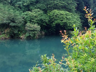 羊小咩提现秒到账是真的吗？用户实测与平台规则大起底