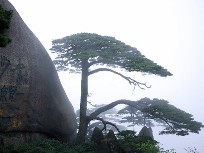 花呗套现藏多重陷阱！正规平台安出掌柜提醒：守好信用更重要