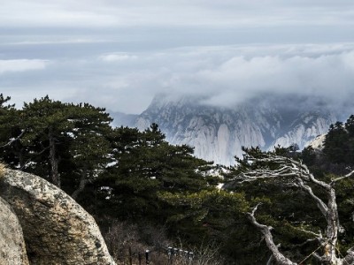 2024花呗图片焕新：从账单到分享，藏着哪些温暖细节？