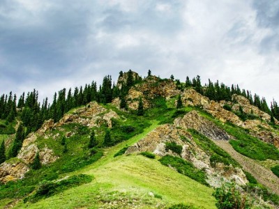 抖音月付红钻提现攻略：步骤、额度与注意事项全解析